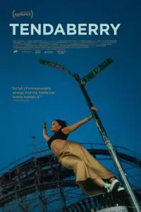 Тендаберри